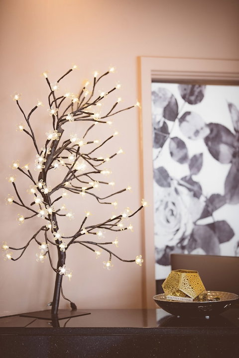 Garden Lodge Sydney - Surfers Gold Coast 2