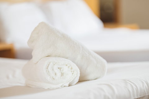 Garden Lodge Sydney - Surfers Gold Coast 4