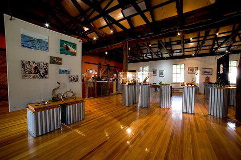 Risby Cove - Surfers Gold Coast 4