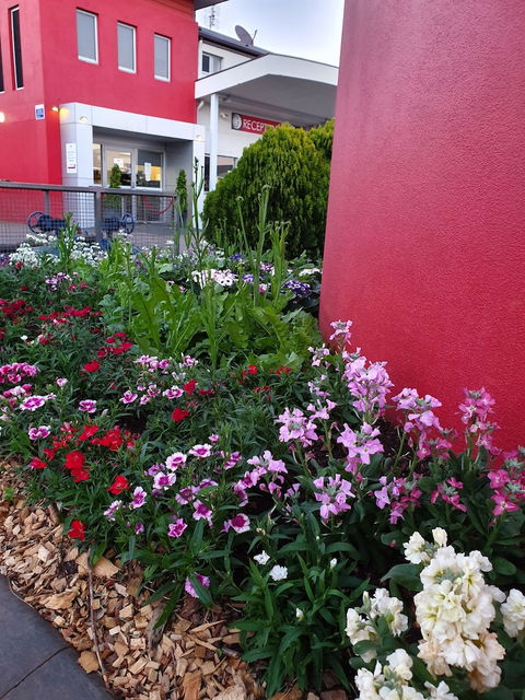 City Golf Club Motel - Surfers Gold Coast 2