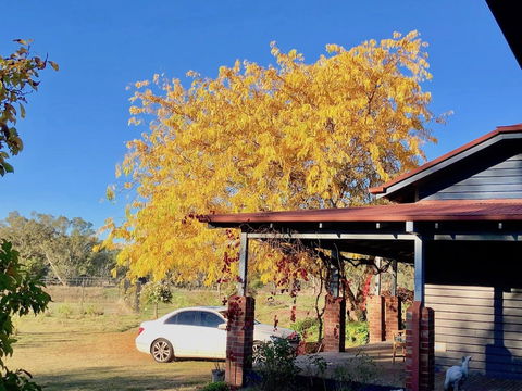 Acheron Valley Country Estate - Surfers Gold Coast 3