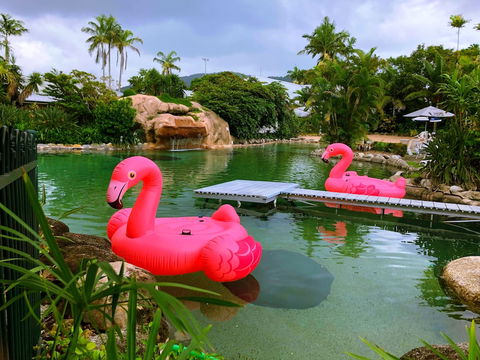 Cairns Colonial Club Resort - Surfers Gold Coast 4