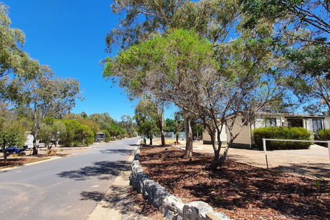 Capital Country Holiday Park - Surfers Gold Coast 3