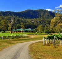 Ascella Organic Wine - Surfers Gold Coast