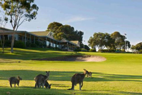 Early Settlers Motel Tocumwal - Surfers Gold Coast 6