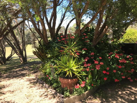The Fingal Farm - Surfers Gold Coast 6