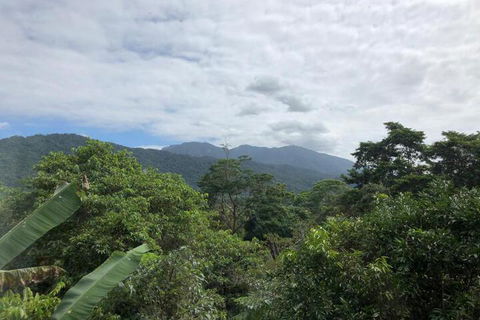 Mossman Gorge Bed & Breakfast - Surfers Gold Coast 5