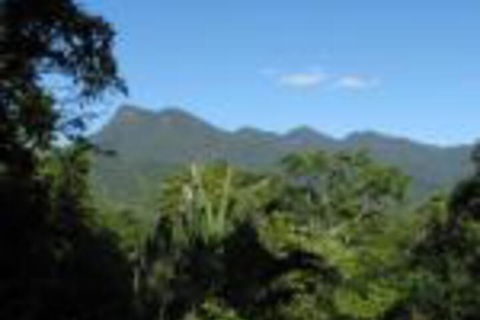 Mossman Gorge Bed & Breakfast - Surfers Gold Coast 0