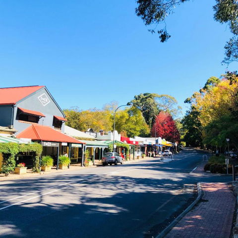 Aldgate Creek Cottage Bed & Breakfast - Surfers Gold Coast 4