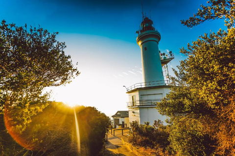 Abaleen House - Surfers Gold Coast 5