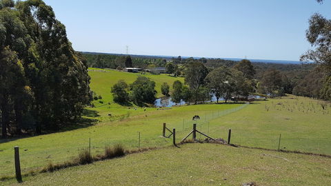 Blueberry Hills On Comleroy - Surfers Gold Coast 4