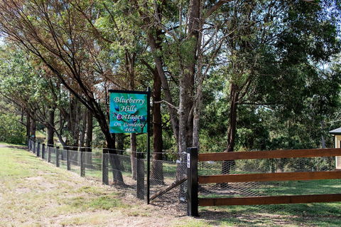 Blueberry Hills On Comleroy - Surfers Gold Coast 0