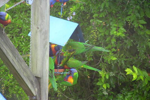 A Lakehouse Escape - Surfers Gold Coast 4