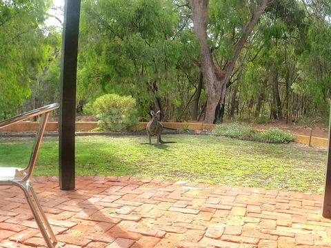Yallingup Pet Friendly Bush Retreat - Surfers Gold Coast 5