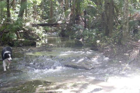 Stay At LP Montville - Surfers Gold Coast 4