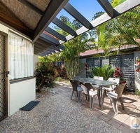 Sapphire Owl - Surfers Gold Coast