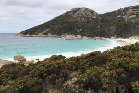 Zephyr Studio - Surfers Gold Coast 6