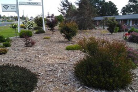 Altona Motel - Surfers Gold Coast 0