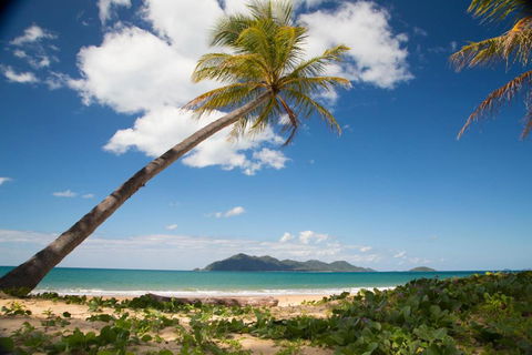 7 McNamara Wongaling Beach - Surfers Gold Coast 5