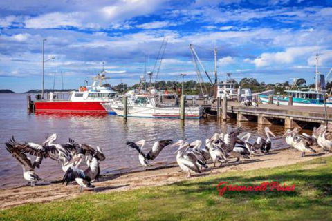 Fishermans Friend At Greenwell Point - Surfers Gold Coast 7