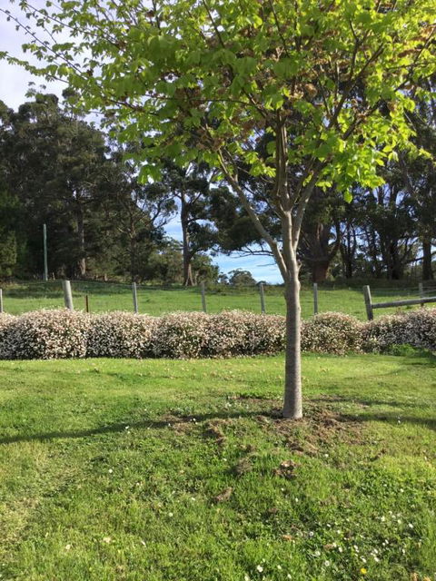 Nextdooratportarthur - Surfers Gold Coast 3