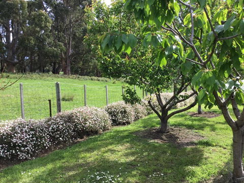 Nextdooratportarthur - Surfers Gold Coast 1
