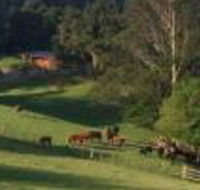 Amaroo Valley Springs - Surfers Gold Coast
