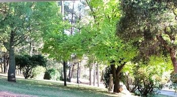 Eemnes Park Estate - Surfers Gold Coast 6