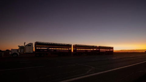 Longreach Outback Adventures - Surfers Gold Coast 2