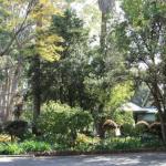 Two Sisters Chalets - Surfers Gold Coast 1