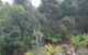 Roland B&B - thumb 1