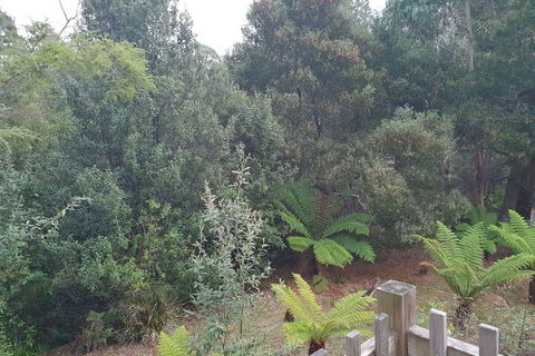Roland B&B - Surfers Gold Coast 1