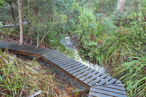 Roland B&B - Surfers Gold Coast 6
