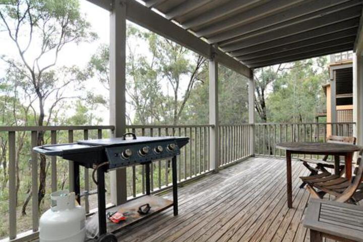 Maitland Vale NSW Surfers Gold Coast