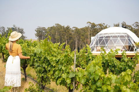 Domescapes In The Vines - Surfers Gold Coast 5
