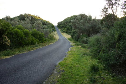 Venus Escapes Guesthouse - Surfers Gold Coast 2