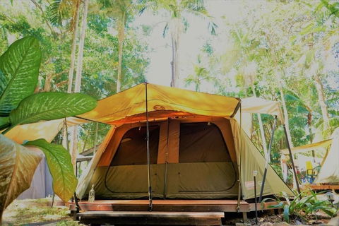 Dougies Backpackers - Surfers Gold Coast 5