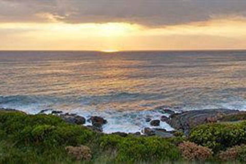 The Ocean Retreat - Surfers Gold Coast 5