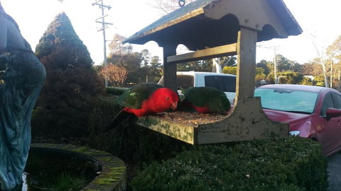 Grand Country Lodge Motel - Surfers Gold Coast 3