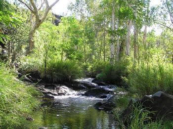 Mt Hart Homestead - Surfers Gold Coast 4