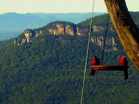 Valley Of The Waters B&B - Surfers Gold Coast 3