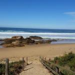 Bellbird Cottage B & B - Surfers Gold Coast 0