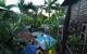 Balinese Breeze - thumb 2