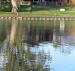 Wentworth Wharf B  B - Surfers Gold Coast