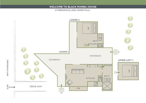 Black Mamba House - Surfers Gold Coast 6