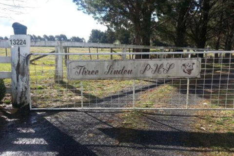 Three Linden - Surfers Gold Coast 3