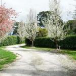 Robin Hill Manor Rambling Retreat & Tennis Court - Surfers Gold Coast 0