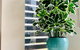 WHITSUNDAY Brand New Townhouse Close To Boardwalk - thumb 4