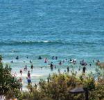 Pacific Towers Unit 4 19 Ormonde Tce Kings Beach - Surfers Gold Coast