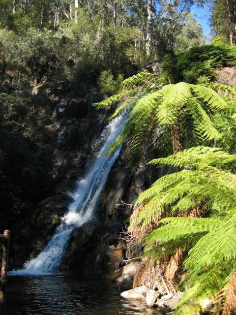 RiverCottage Selfcontained - Surfers Gold Coast 2